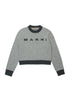 Colorblock Wool Crew-Neck Sweater