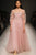 Tulle Party Dress with Embroidered Flowers